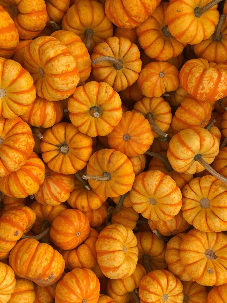7 Fun Filled Events Happening This Fall In Texas